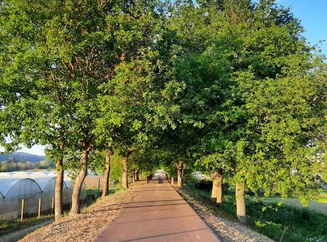 Rb Ganfei House 아파트 발렌사