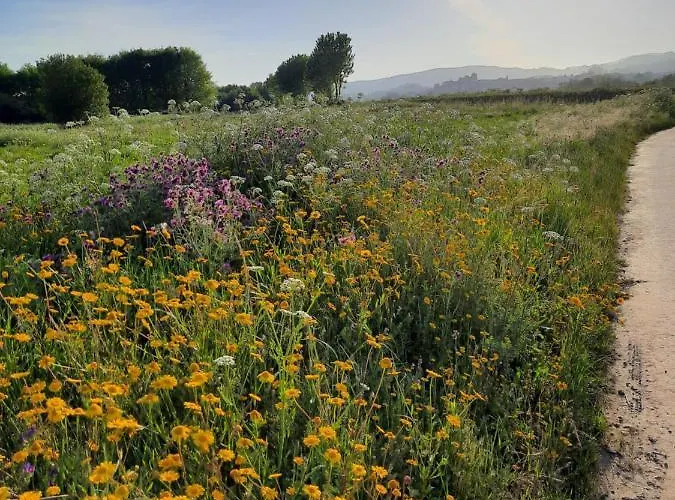 Rb Ganfei House 아파트 발렌사